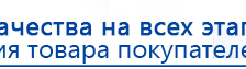 ДЭНАС  купить в Верхней Пышме, Аппараты Дэнас купить в Верхней Пышме, Скэнар официальный сайт - denasvertebra.ru